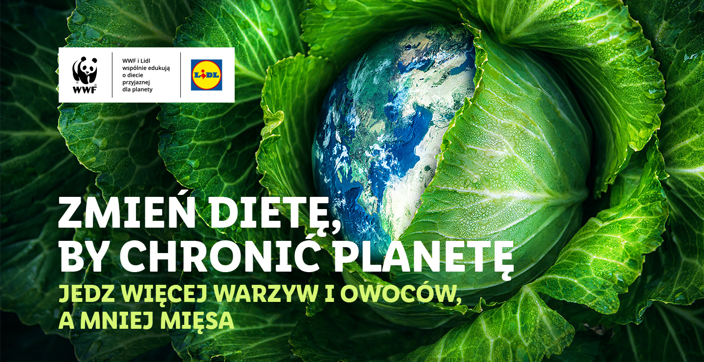Chroń planetę, jedząc mniej mięsa, a więcej warzyw i owoców.