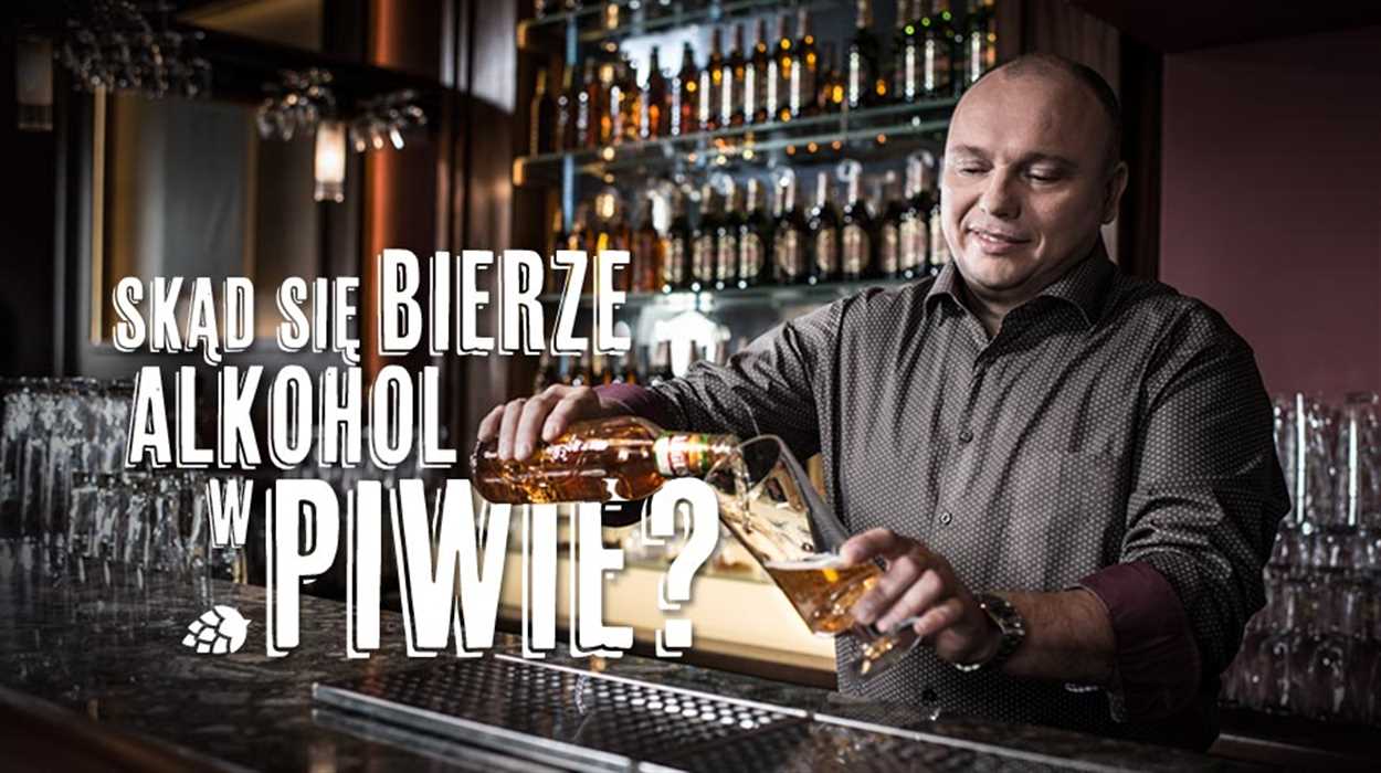 Skąd się bierze alkohol w piwie? Od czego zależy jego ilość? Skąd się bierze alkohol w piwie? Od czego zależy jego ilość?