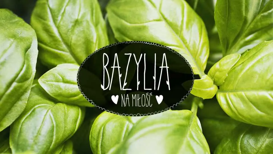 Bazylia