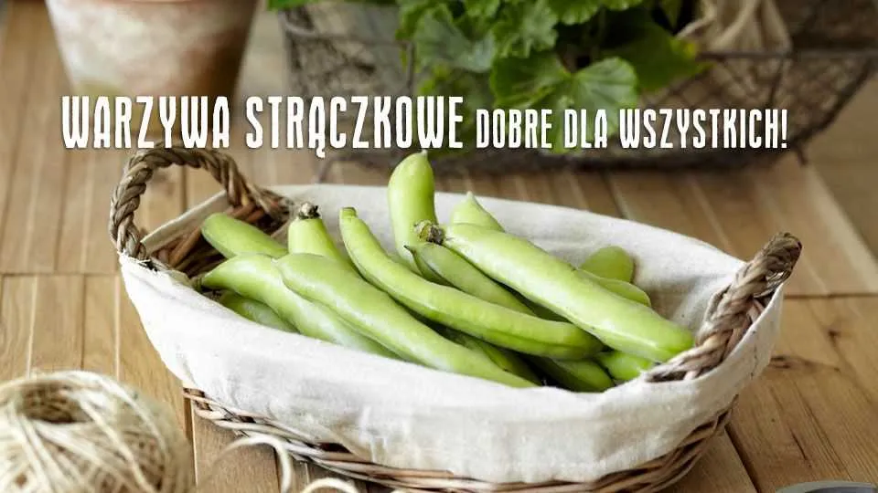 Warzywa strączkowe