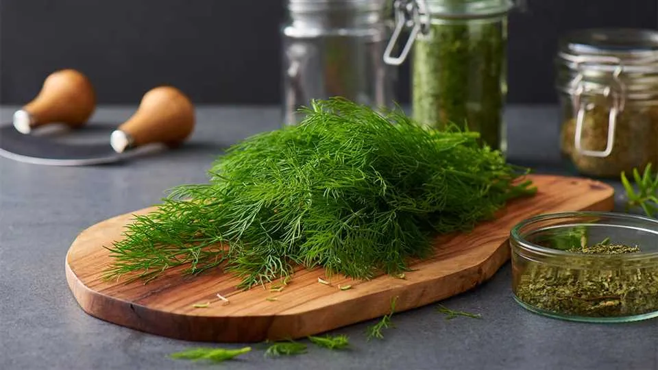 JAK WYSUSZYĆ ZIOŁA?