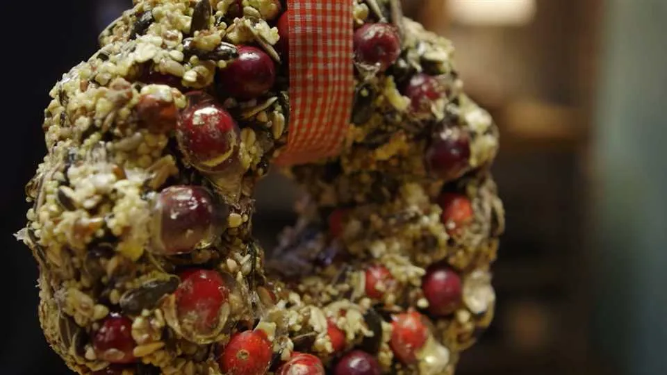 Jak zrobić przysmaki dla ptaków?