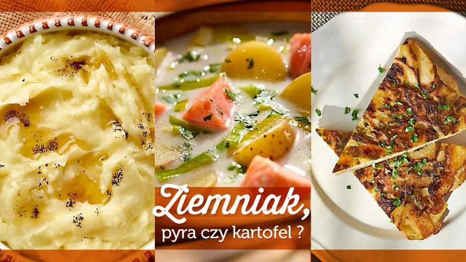 Nowe wcielenie ziemniaka