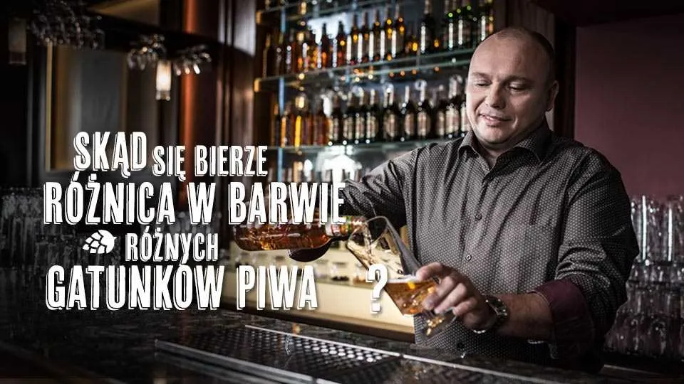 Skąd się bierze różnica w barwie różnych gatunków piwa?