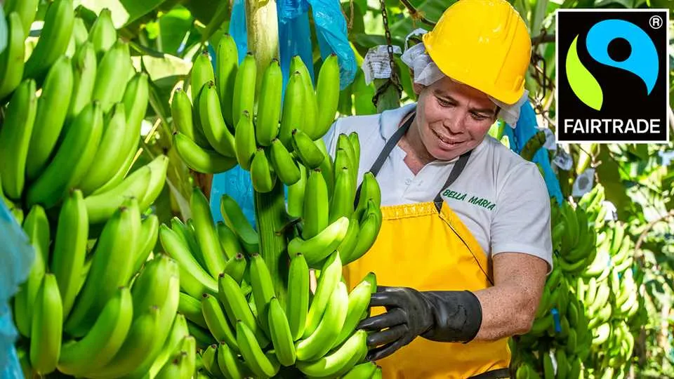 Zakupy, które są FAIR? To bardzo proste!