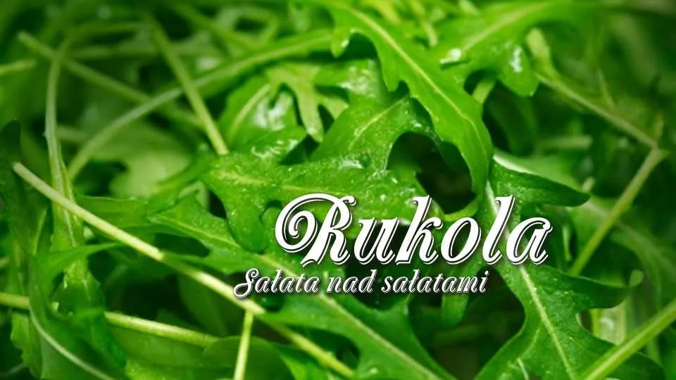 Rukola – sałata nad sałatami