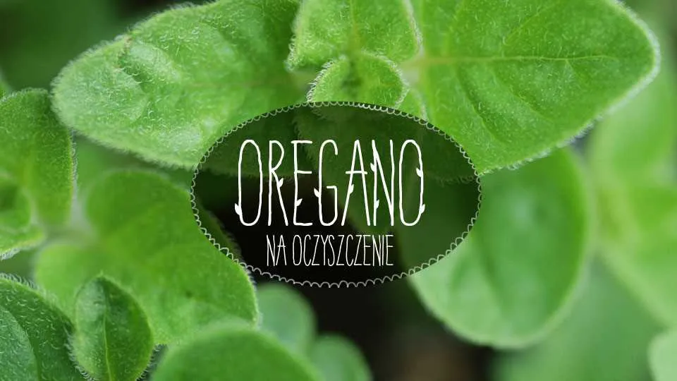 Oregano