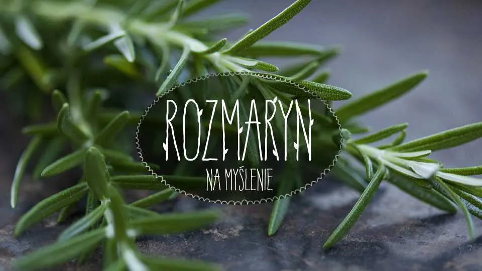 Rozmaryn