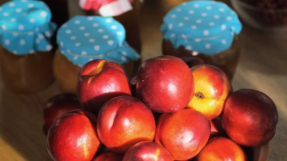 Jak wybierać owoce do przetworów?