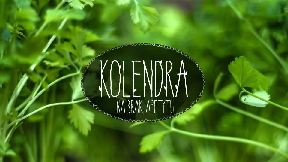 Kolendra