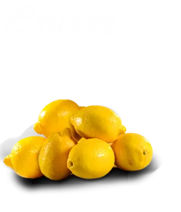 Cytryna