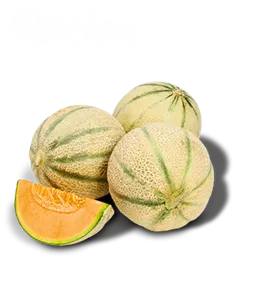 Melon