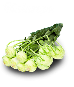 Kalarepa