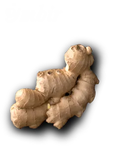 Imbir