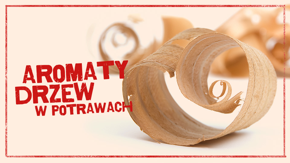 Grillowanie dla zaawansowanych: drzewny aromat Drzewny aromat. Na czym grillować, żeby było jeszcze pyszniej?