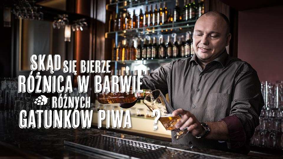 Skąd się bierze różnica w barwie różnych gatunków piwa? Skąd się bierze różnica w barwie różnych gatunków piwa?