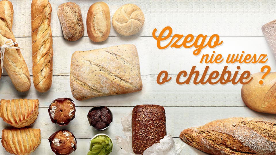 Ciekawostki na temat pieczywa Ciekawostki na temat pieczywa