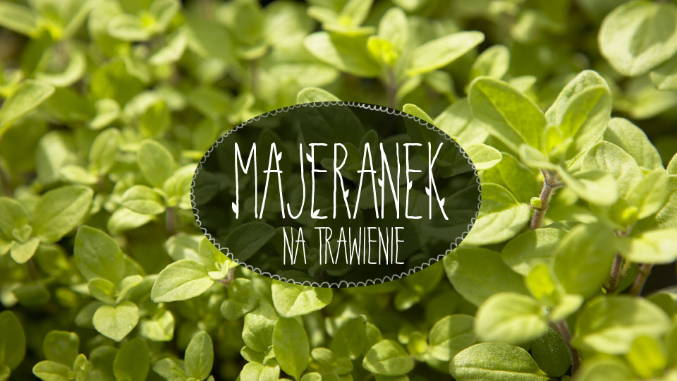 Majeranek Majeranek
