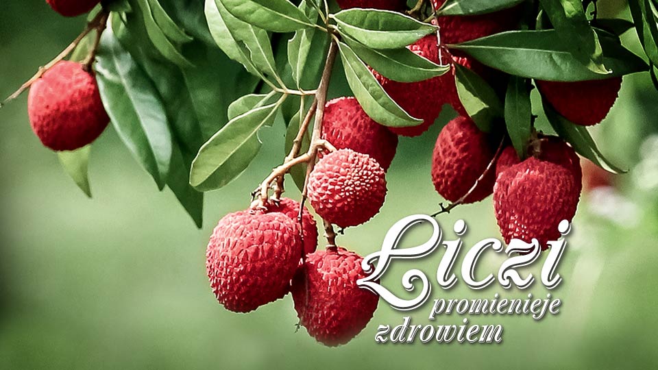 Liczi promienieje zdrowiem Liczi