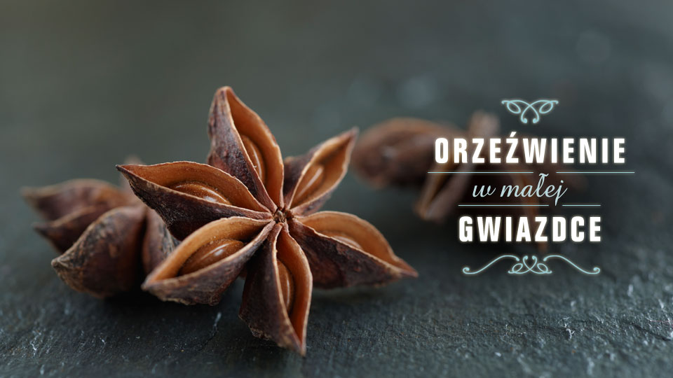 Jak działa anyż? Anyż – jeden z najstarszych leków