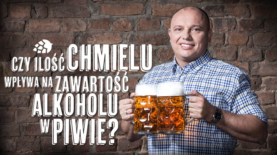 Czy chmiel wpływa na ilość alkoholu w piwie? Czy ilość chmielu wpływa na zawartość alkoholu w piwie?