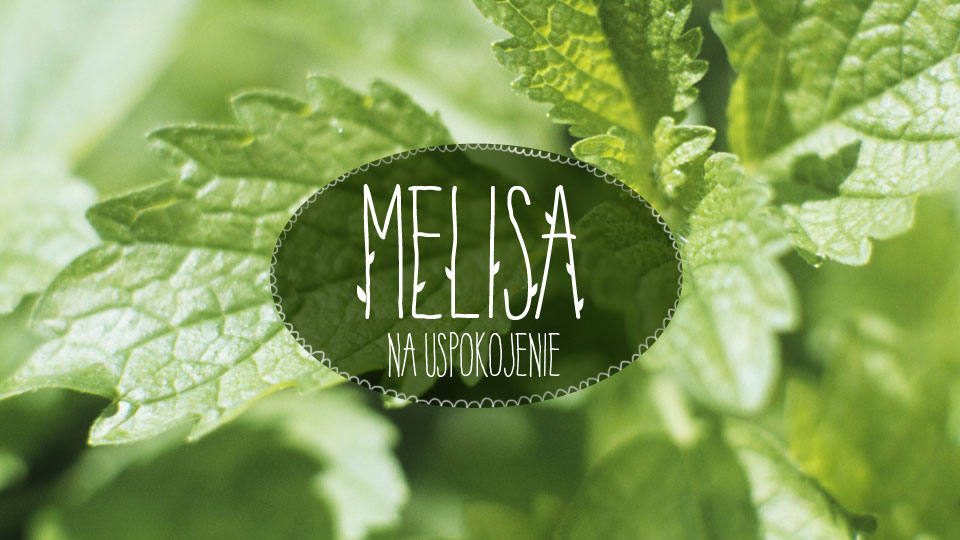 Melisa Melisa